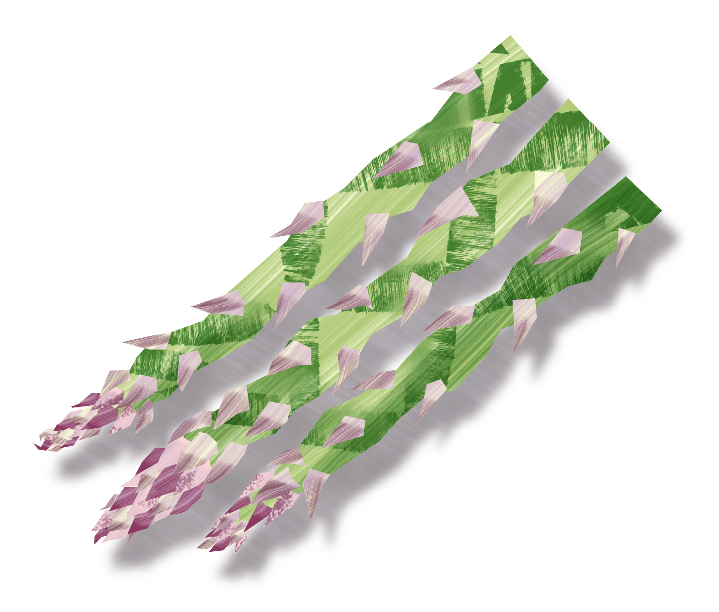 asparagus-illust