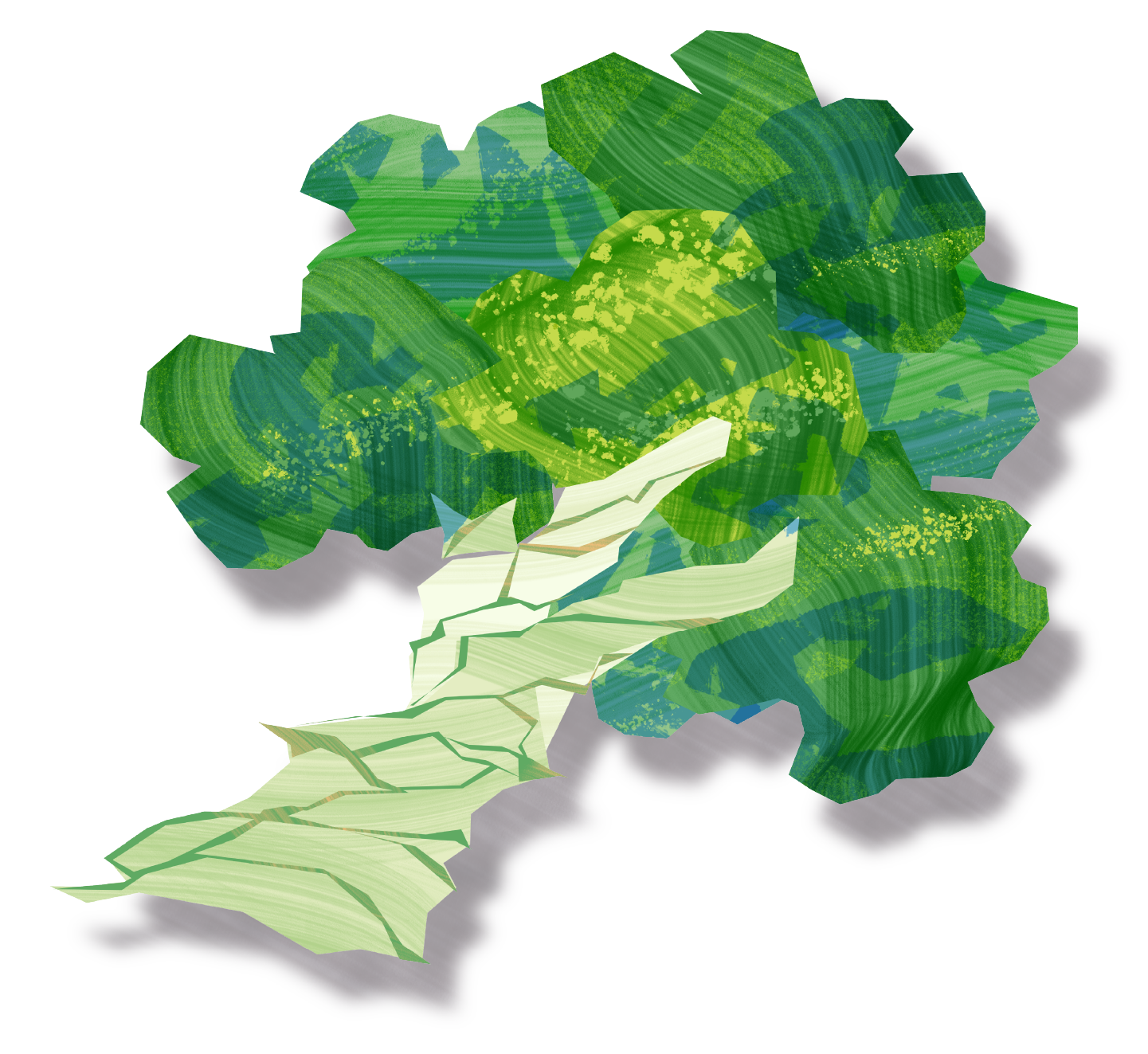 broccoli-illust