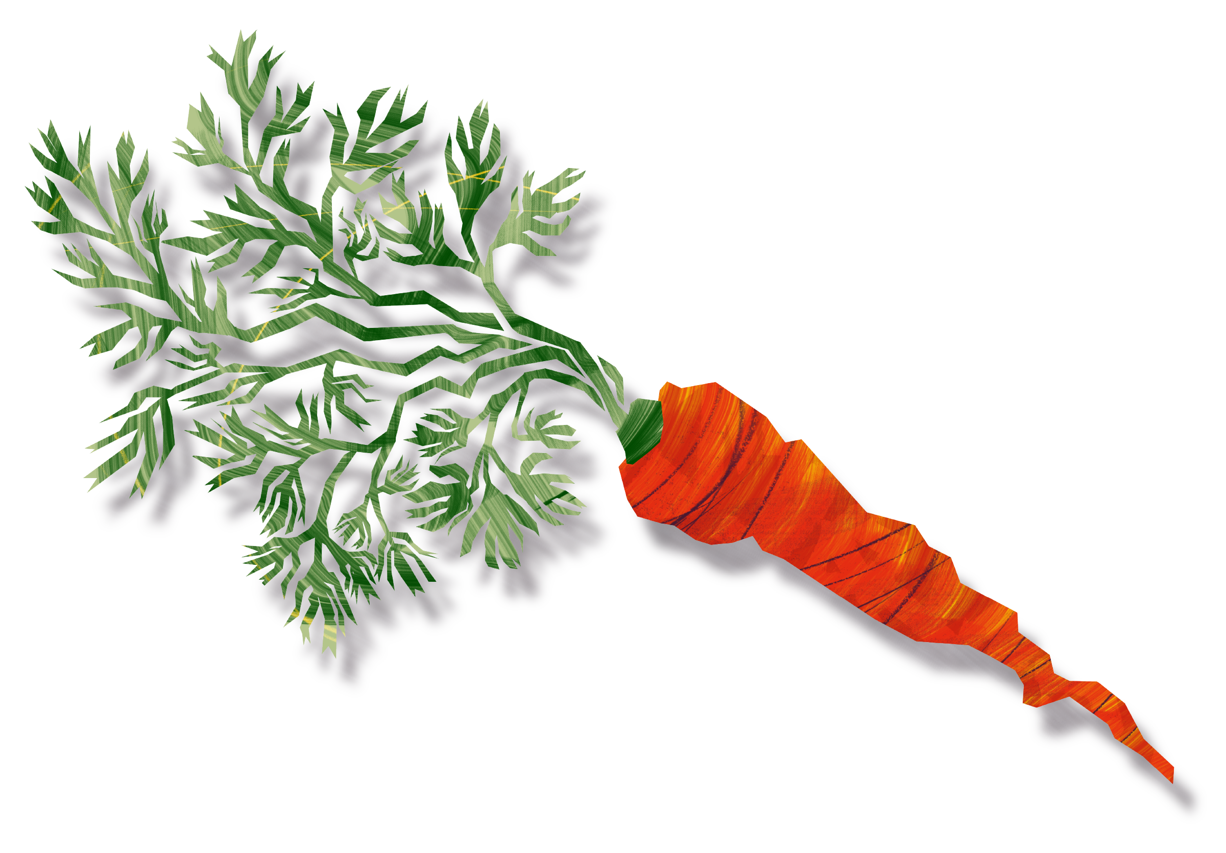 carrot-illust