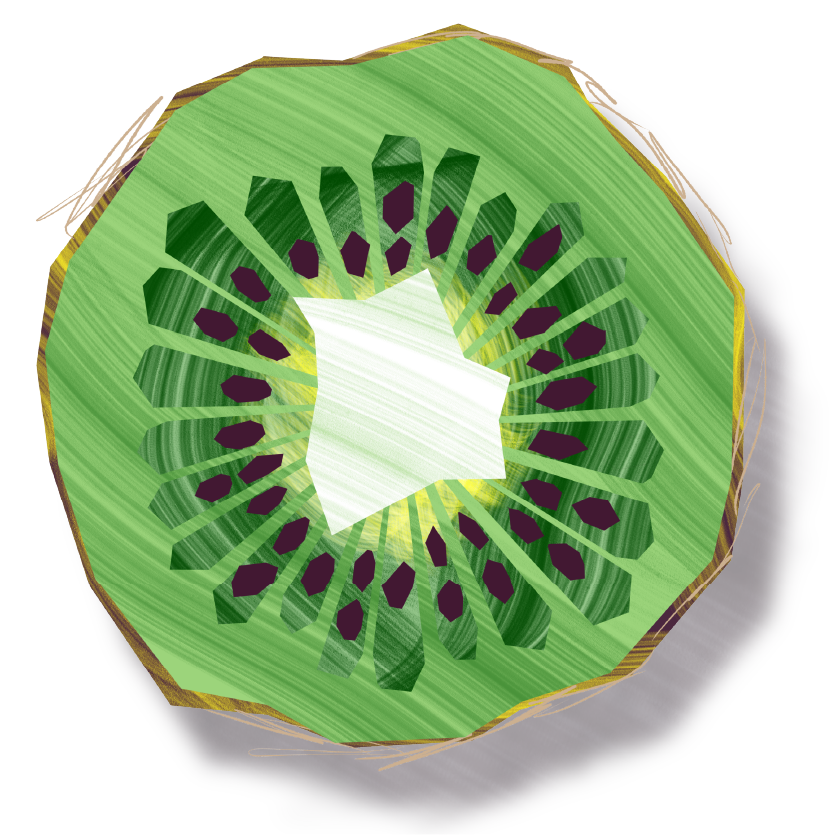 kiwi-illust