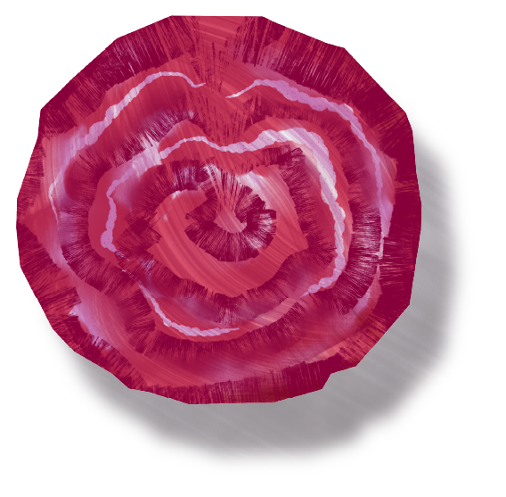 onion-illust